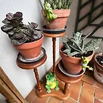 شقة Les Jardins De Wilson *