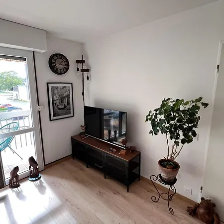 公寓 Les Jardins De Wilson *